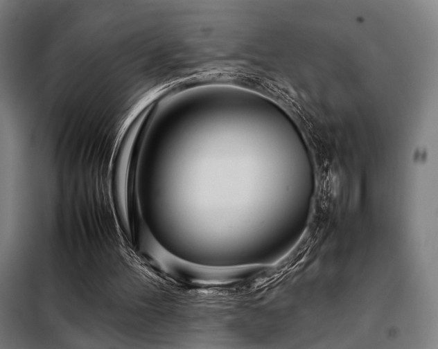 X0000098100100200804041253