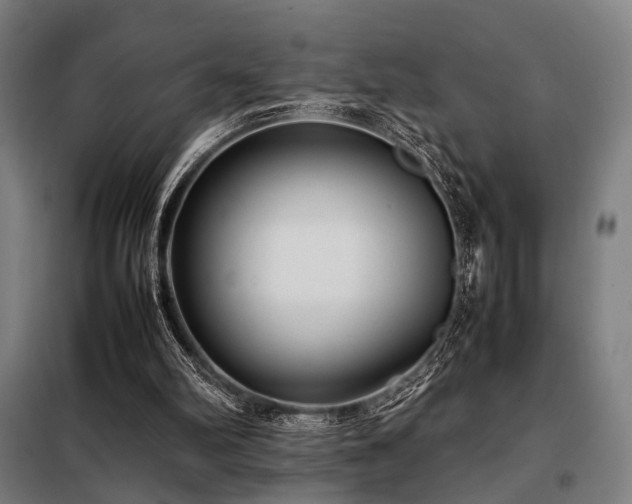 X0000098100102200804041253
