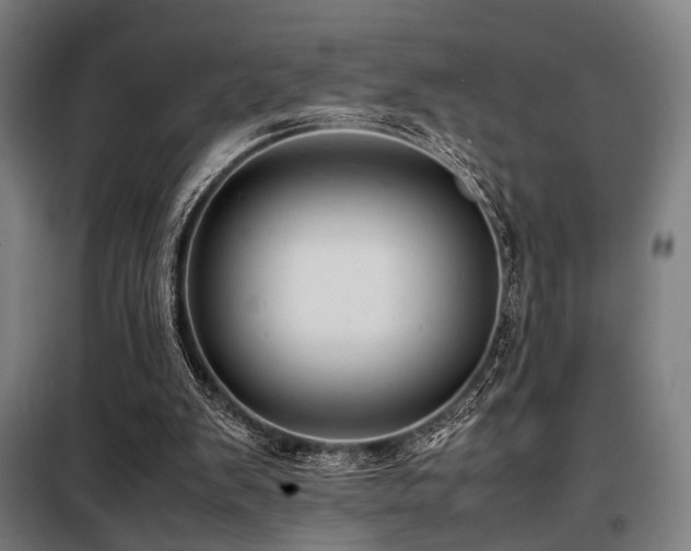 X0000098100103200804041253