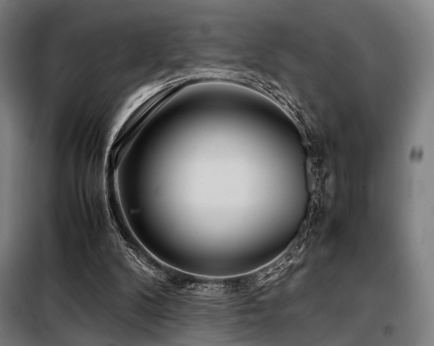 X0000098100104200804041253
