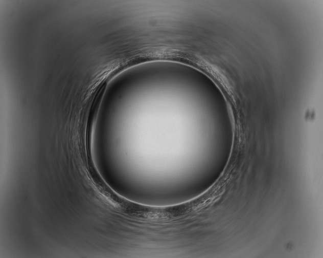 X0000098100105200804041253