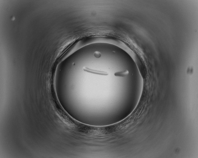 X0000098100107200804041253