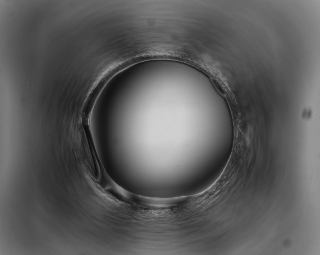 X0000098100108200804041253
