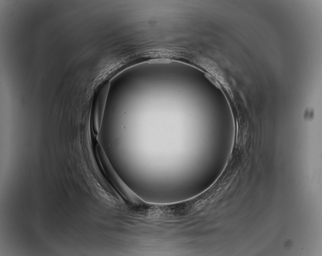 X0000098100109200804041253