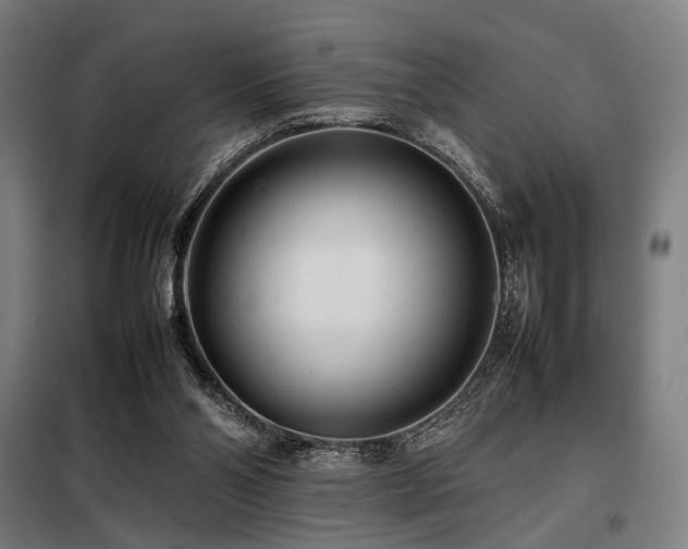 X0000098100110200804041253