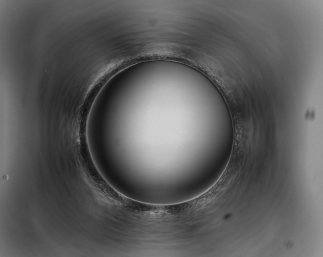 X0000098100112200804041253