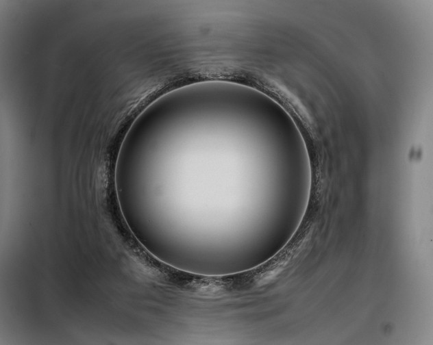 X0000098100113200804041253
