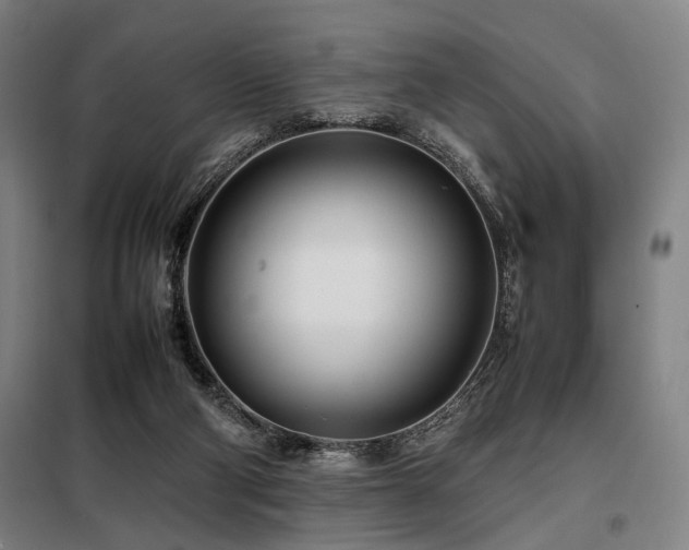 X0000098100114200804041253