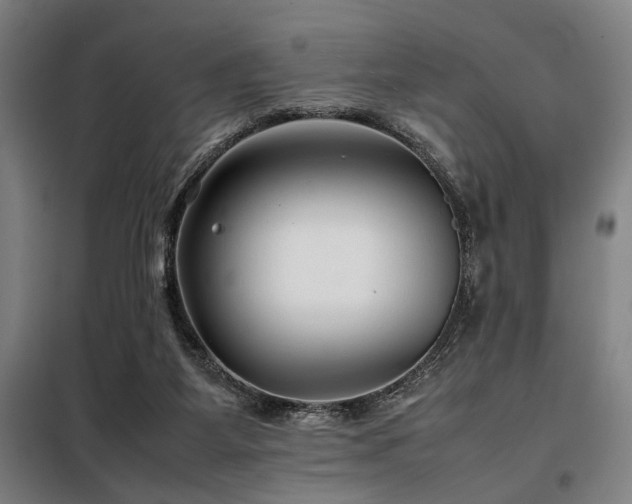 X0000098100115200804041253