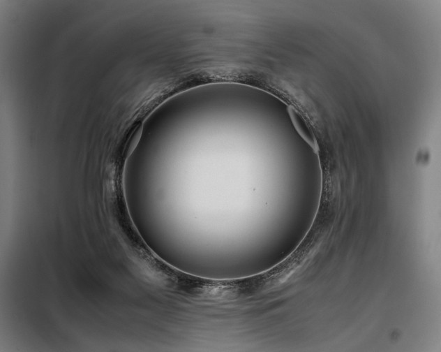 X0000098100117200804041253
