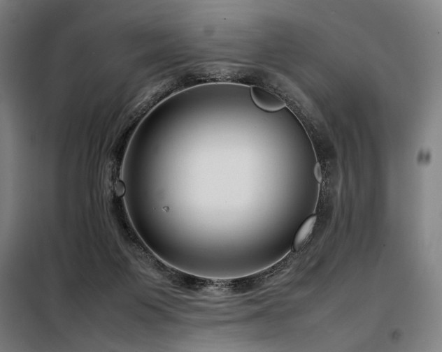 X0000098100119200804041253