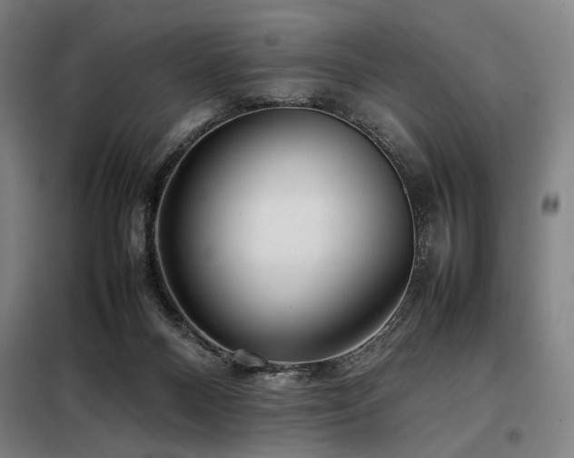 X0000098100120200804041253