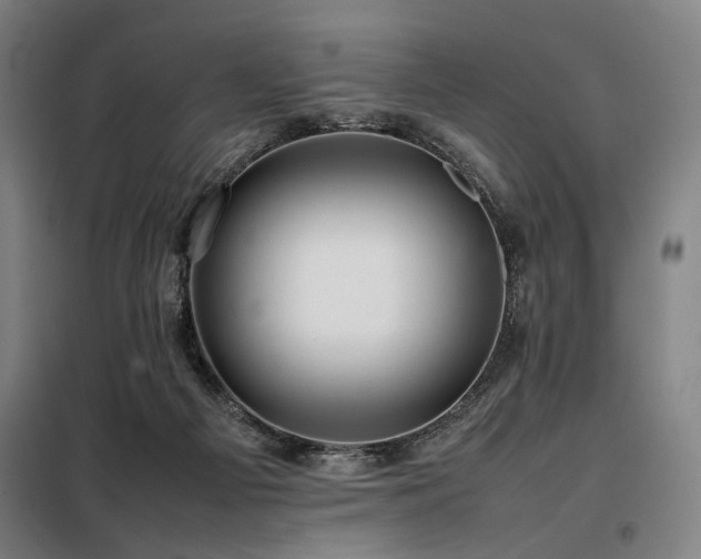 X0000098100121200804041253