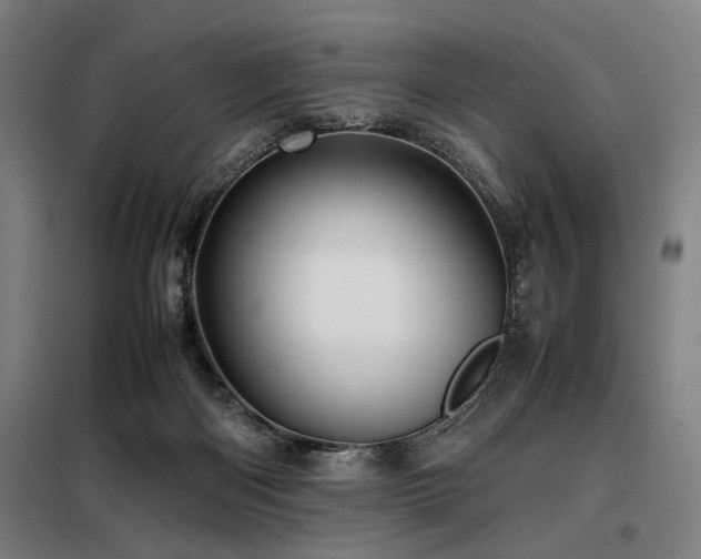 X0000098100122200804041253