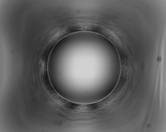 X0000098100123200804041253