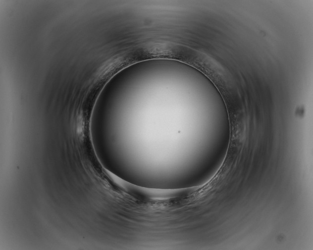 X0000098100124200804041253