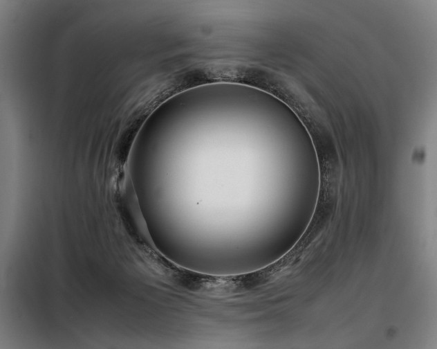 X0000098100125200804041253