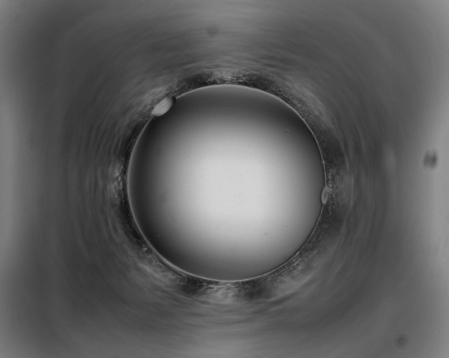 X0000098100127200804041253