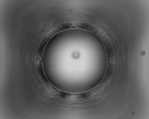 X0000098100129200804041253