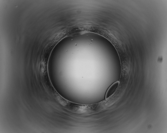 X0000098100130200804041253