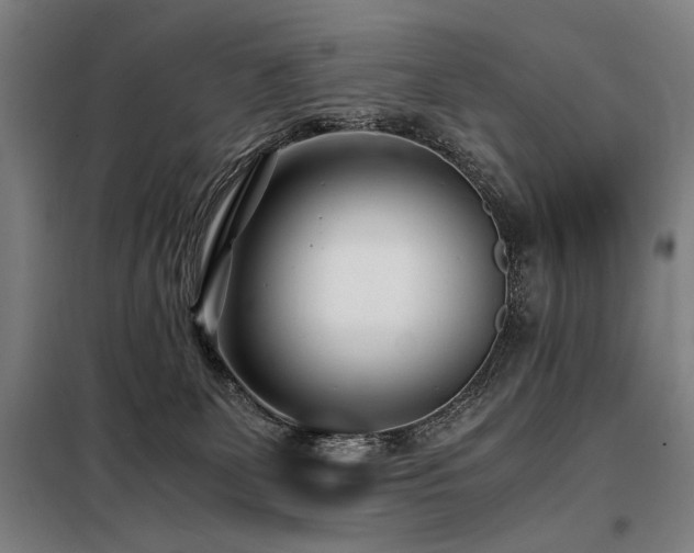 X0000098100131200804041253