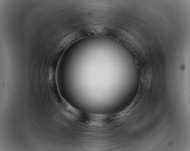 X0000098100132200804041253