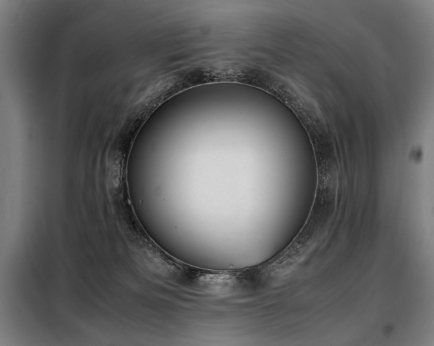 X0000098100133200804041253