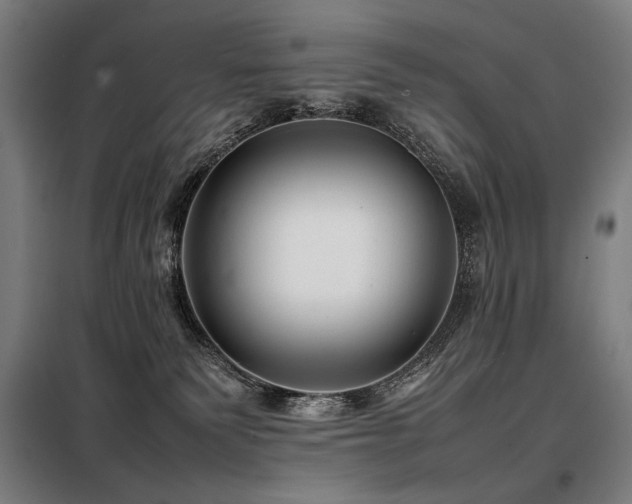 X0000098100135200804041253