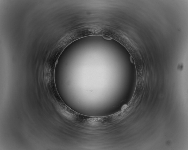 X0000098100136200804041253