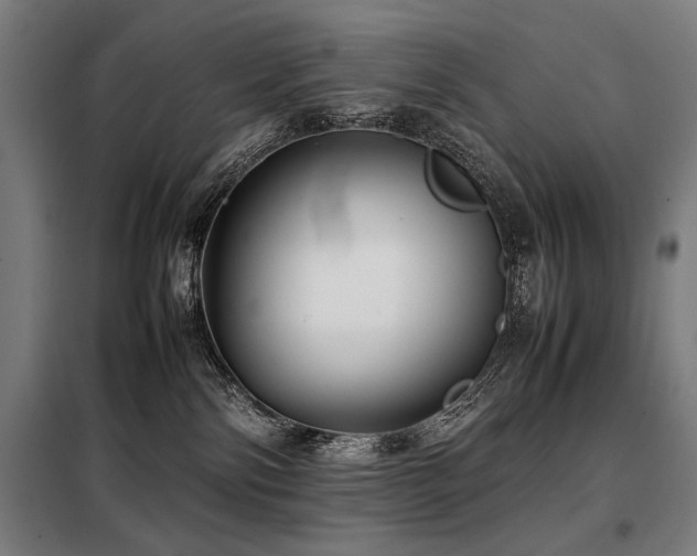 X0000098100138200804041252