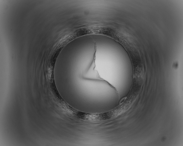 X0000098100139200804041252