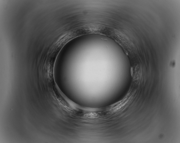 X0000098100140200804041252