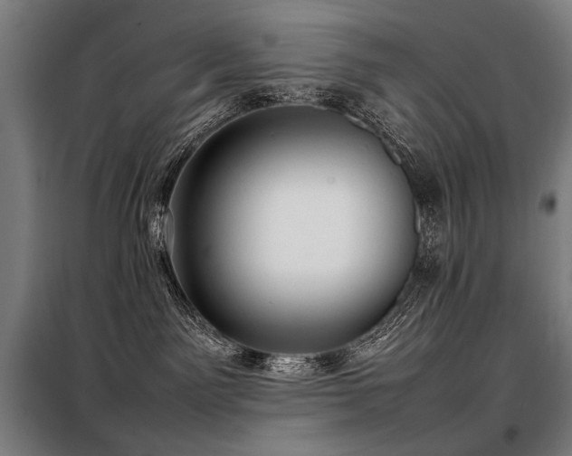 X0000098100141200804041252