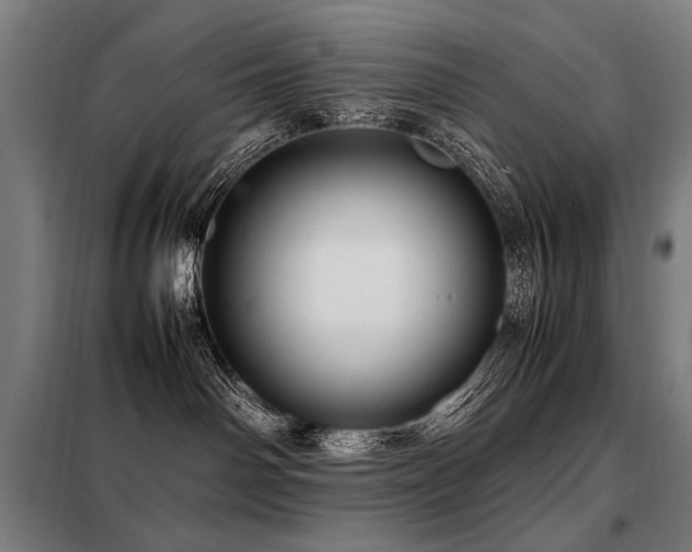 X0000098100142200804041252