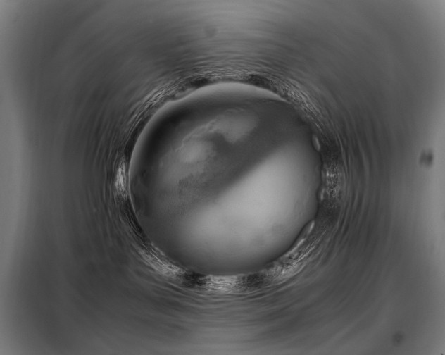 X0000098100143200804041252