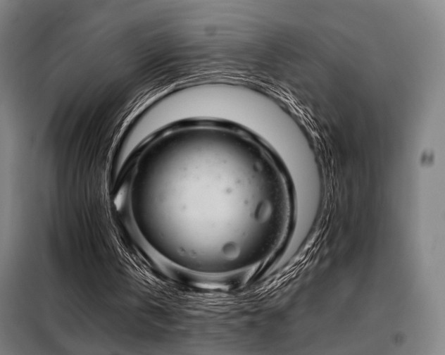 X0000098100146200804041252