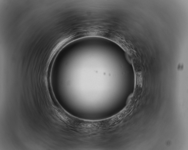 X0000098100147200804041252