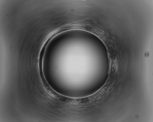 X0000098100148200804041252