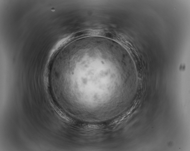 X0000098100149200804041252