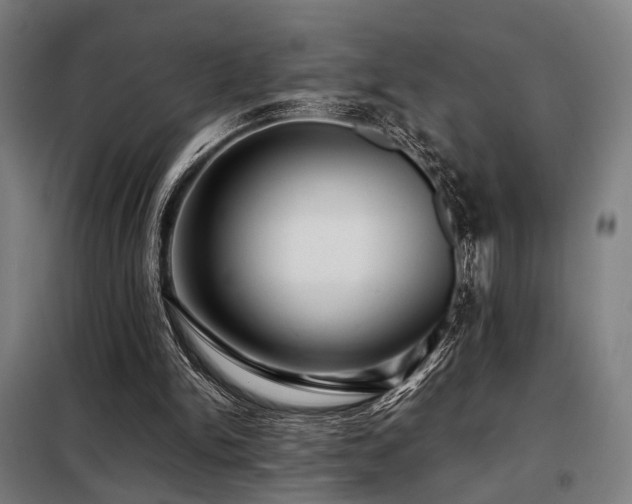 X0000098100150200804041252
