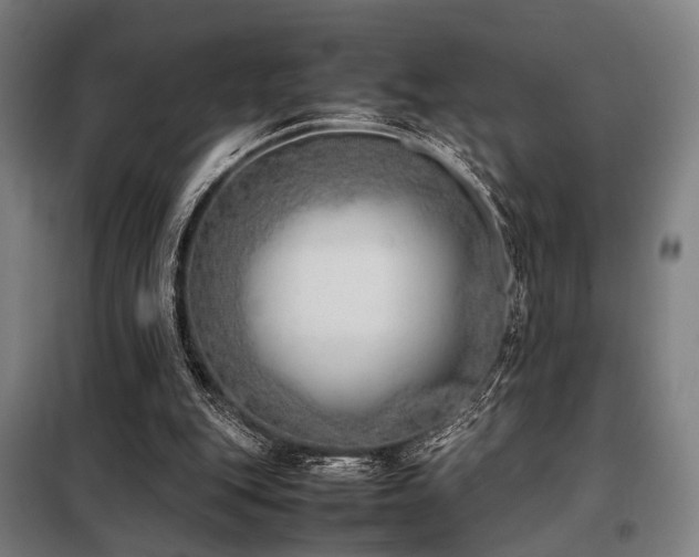 X0000098100151200804041252