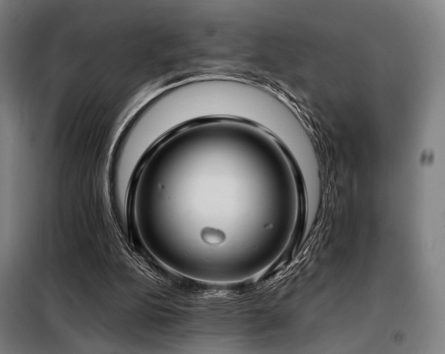X0000098100152200804041252