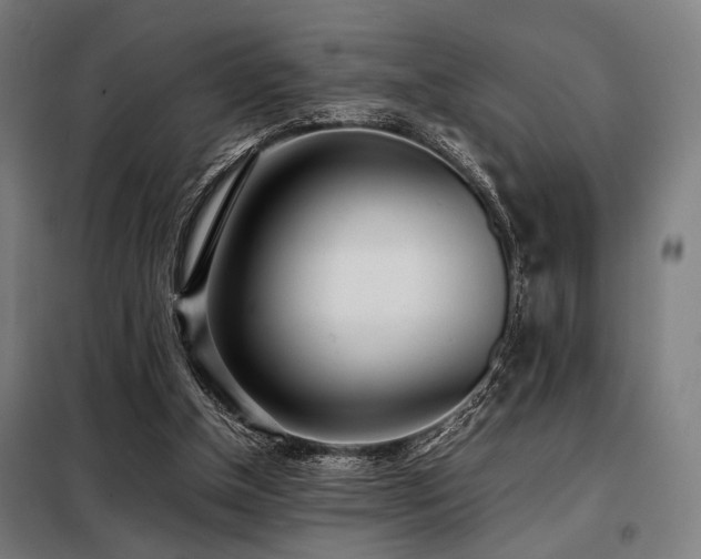 X0000098100154200804041252