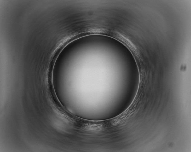 X0000098100155200804041252