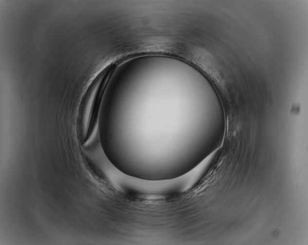 X0000098100156200804041252