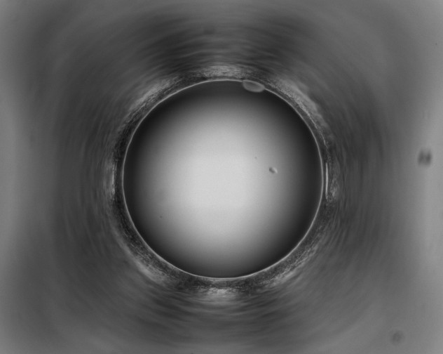 X0000098100157200804041252