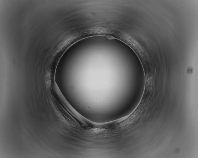 X0000098100158200804041252