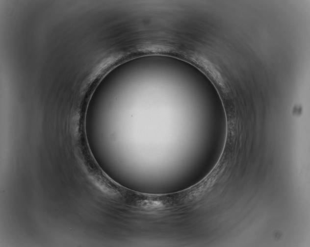 X0000098100159200804041252