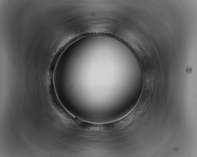 X0000098100160200804041252