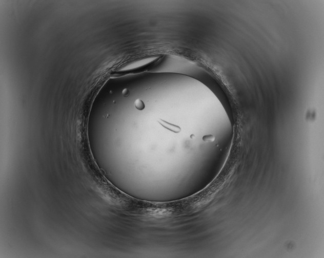 X0000098100161200804041252
